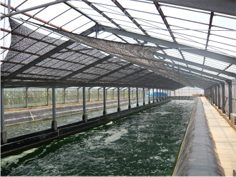 This is a tank which cultivates spirulina. It looks like a big lazy river.