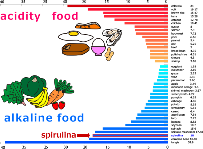 Spirulina is an alkaline food.