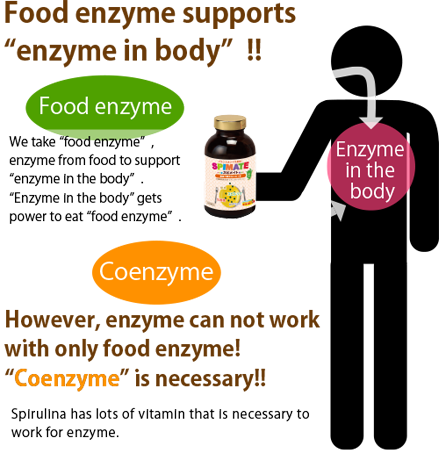 Kumejima enzyme